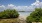 a beach with trees and a body of water in the background