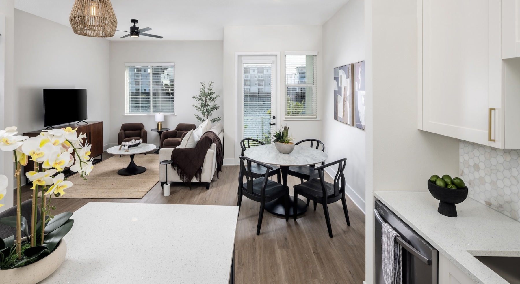 kitchen and living room with shelves