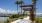 a wooden walkway with palm trees and a body of water