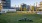 a dog park